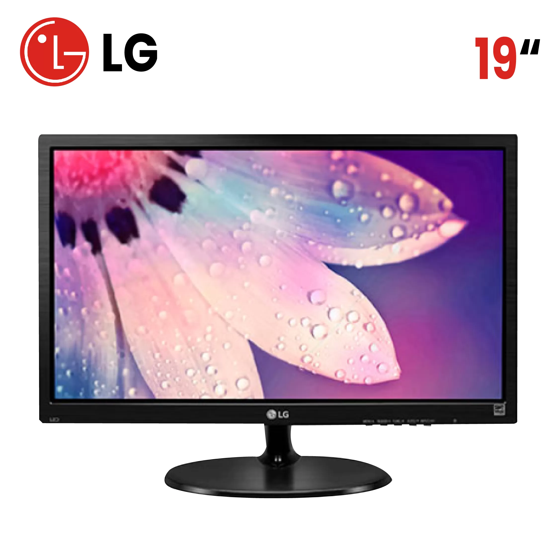 MONITOR LG 19 